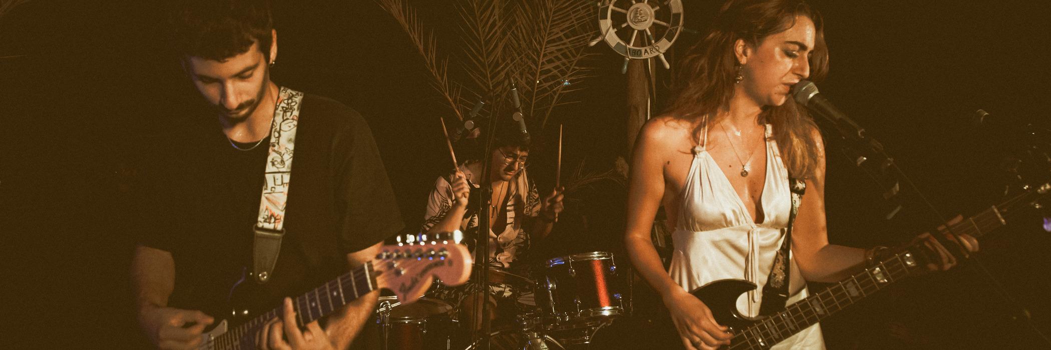 Banner photo showing how Bands are one of the many target audience for MusicLeb and how they can benefit from the website. Experience the energy of live bands and authentic rock performances.